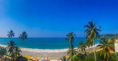 bellissimo Paradiso tropicale spiaggia onde palme mirissa spiaggia sri lanka. foto