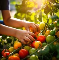 un' avvicinamento tiro di un' Childs mani raccolta fresco frutta e verdure a partire dal un' azienda agricola, mondo cibo giorno immagini foto