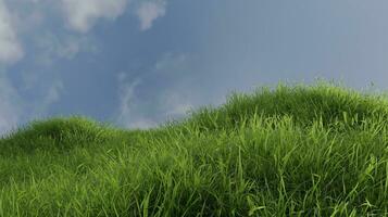 bellissimo verde erba contro il blu cielo scena 3d rendere natura paesaggio sfondo foto
