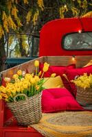 di vimini cestino con bellissimo fiori. tulipani, mimose. un' luminosa rosso camion portato un' lotto di fiori. foto