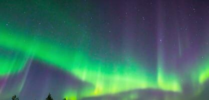 settentrionale luci nel il cielo aurora verde leggero nel il cielo Norvegia nord polo 3d illustrazione foto