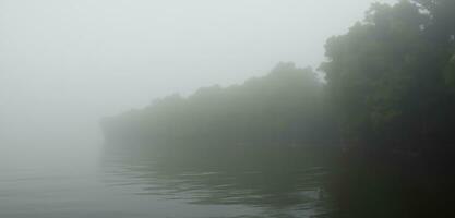 sfondo di il acqua acqua nel un' misterioso e pauroso foresta smog nel il foresta buio toni un' pigro fiume nel un' fantasia foresta foto