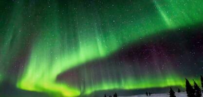 settentrionale luci nel il cielo aurora verde leggero nel il cielo Norvegia nord polo 3d illustrazione foto