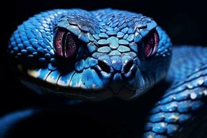 velenoso blu vipera serpente viso. creare ai foto