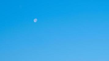 luna bianca e cielo limpido mattutino blu foto