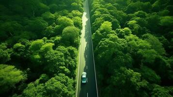 generativo ai, aereo Visualizza di strada fra verde foresta, verde paesaggio foto
