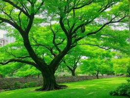 un' grande albero seduta nel il mezzo di un' lussureggiante verde parco. ai generato foto