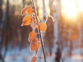 minimalista inverno paesaggio composizione ai generativo foto