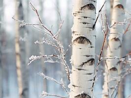 minimalista inverno paesaggio composizione ai generativo foto