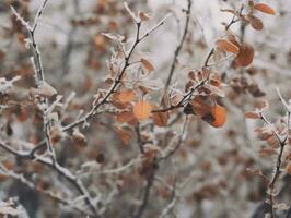 minimalista inverno paesaggio composizione ai generativo foto