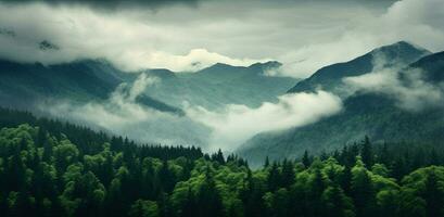 generativo ai, nebbioso abete foresta bellissimo paesaggio nel fricchettone Vintage ▾ retrò stile, nebbioso montagne e alberi. foto