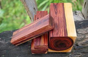 tronchi di legno di palissandro birmano foto