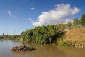 il fiume llobregat che attraversa la regione del baix llobregat, vicino alla città di barcellona. foto