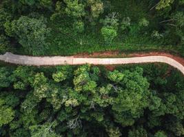 foresta verde ai tropici dall'alto foto