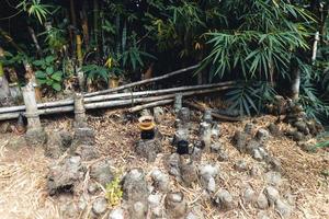 gocciolare il caffè nella foresta, versare l'acqua calda nel caffè foto