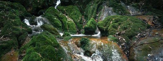 cascata e muschio nella natura tropicale foto