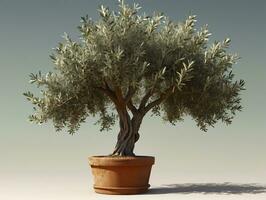 un' piccolo oliva albero nel un' argilla pentola. ai generato foto