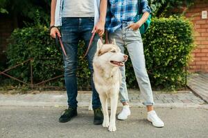 giovane elegante coppia a piedi con cane nel strada, uomo e donna contento insieme foto