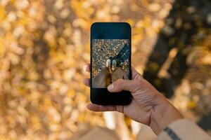 donna a piedi nel autunno utilizzando Telefono foto