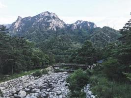 fiume di montagna e il ponte di legno nel parco nazionale di seoraksan foto