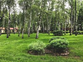 giorno d'estate nel parco di Gorky, città di Kharkov, Ucraina foto