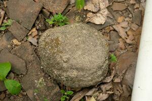 il giro granito pietre su foresta foto