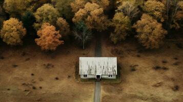 generativo ai, autunno estetico paesaggio panorama, smorzato neutro colori. foto