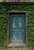 un' verticale tiro di un vecchio verde porta nel un' parete foderato con edera impianti foto