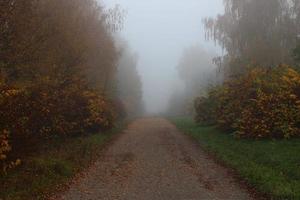 bellissimo paesaggio autunnale. parco nebbioso. foto