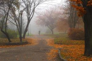 bellissimo paesaggio autunnale. parco nebbioso. foto