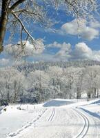 inverno nel bavarese foresta,baviera,germania foto