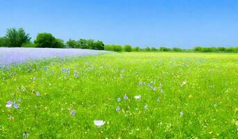 bellissimo verde campo con fiori selvatici. ai generativo foto