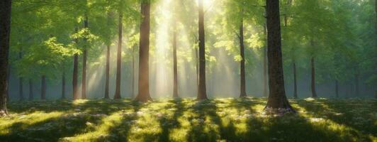 silenzioso foresta nel primavera con bellissimo luminosa sole raggi. ai generato foto