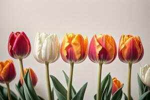 primavera tulipano fiori nel un' riga. ai generato foto