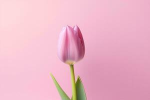 tulipano con partire su un' rosa sfondo avvicinamento con spazio ai generato, ai generativo foto