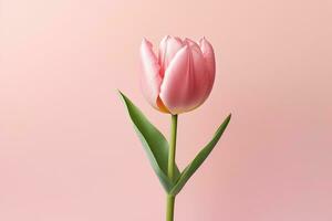 rosa tulipano fiore ai generato, ai generativo foto