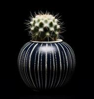 cactus nel un' pianta pentola contro un' buio nero sfondo. generativo ai. foto