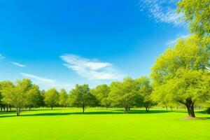 bellissimo paesaggio parco con alberi e sole. colorato fogliame nel il parco. professionista foto