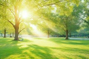 bellissimo paesaggio parco con alberi e sole. colorato fogliame nel il parco. professionista foto