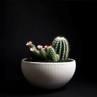 cactus nel un' pianta pentola contro un' buio nero sfondo. generativo ai. foto