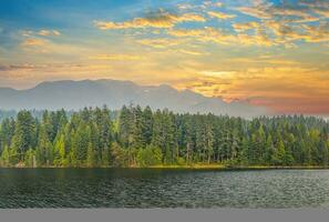 panoramico autunno nel il rockies foto