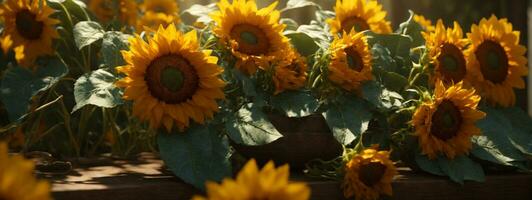 girasoli. ai generato foto