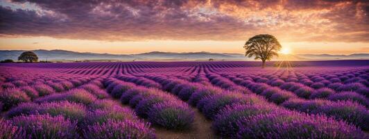 sbalorditivo paesaggio con lavanda campo a tramonto. ai generato foto