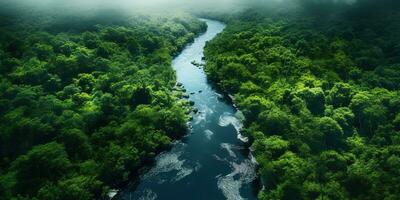 generativo ai, verde bellissimo amazzonica giungla paesaggio con alberi e fiume, fuco Visualizza foto