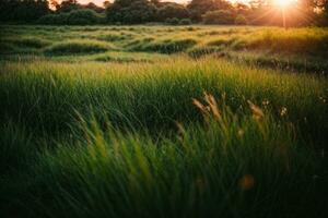 verde erba con tramonto visualizzazioni.. ai generato foto