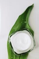 naturale idratante crema vaso su verde le foglie come bellezza piatto, terme cosmetici e cura della pelle foto
