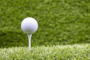 la pallina da golf con il tee è sull'erba verde foto