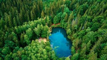 aereo Visualizza di blu colorato foresta lago nel Polonia foto