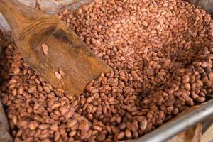 fave di cacao fermentate e fresche adagiate nella cassetta di legno foto