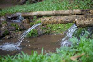 l'acqua naturale scorre dal tubo di bambù per l'agricoltura foto